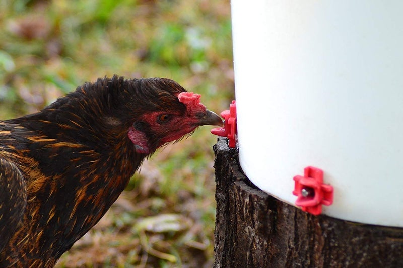 RentACoop DIY Waterer Kit - Horizontal Nipples with Dribble Dish and Installation Tool - Great for Chickens, Turkeys, Peafowl, and Other Poultry - 6 Pack - Image 3